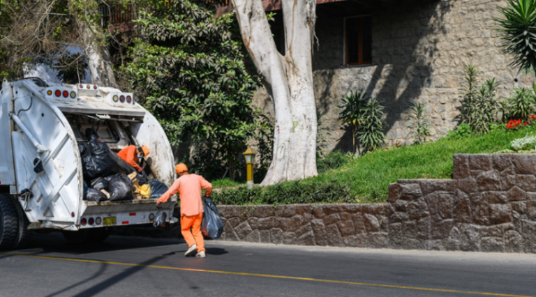 How Professional Trash Removal Prevents Pest Infestations and Disease