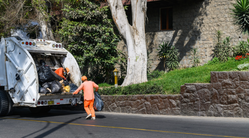 How Professional Trash Removal Prevents Pest Infestations and Disease