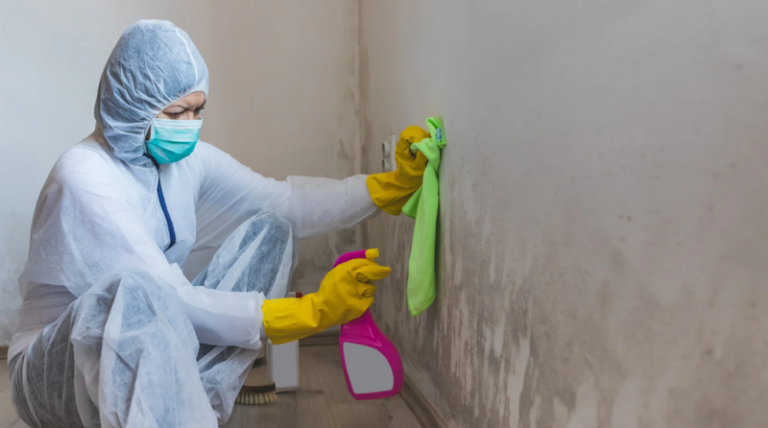 The Value of Thermal Imaging in Locating Hidden Moisture during Mold Remediation