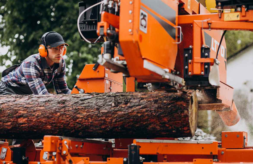 How Climate and Local Trees Shape Safe Tree Removal in Tupelo, MS