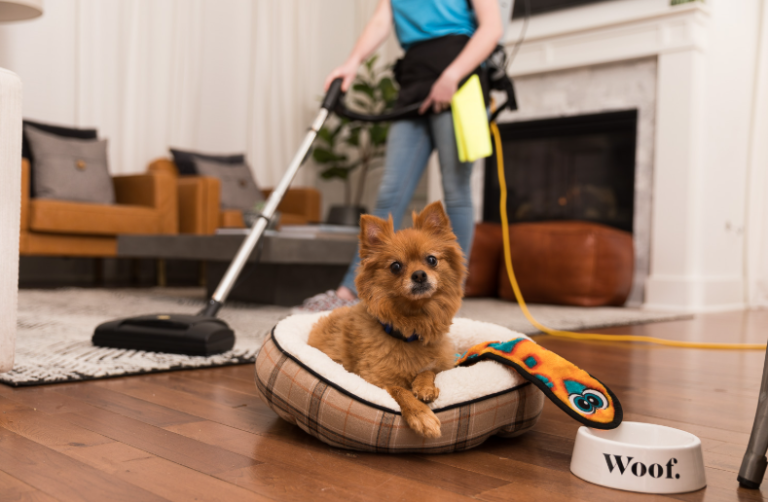 The Weekend Renaissance: Embracing Biweekly Cleaning Services